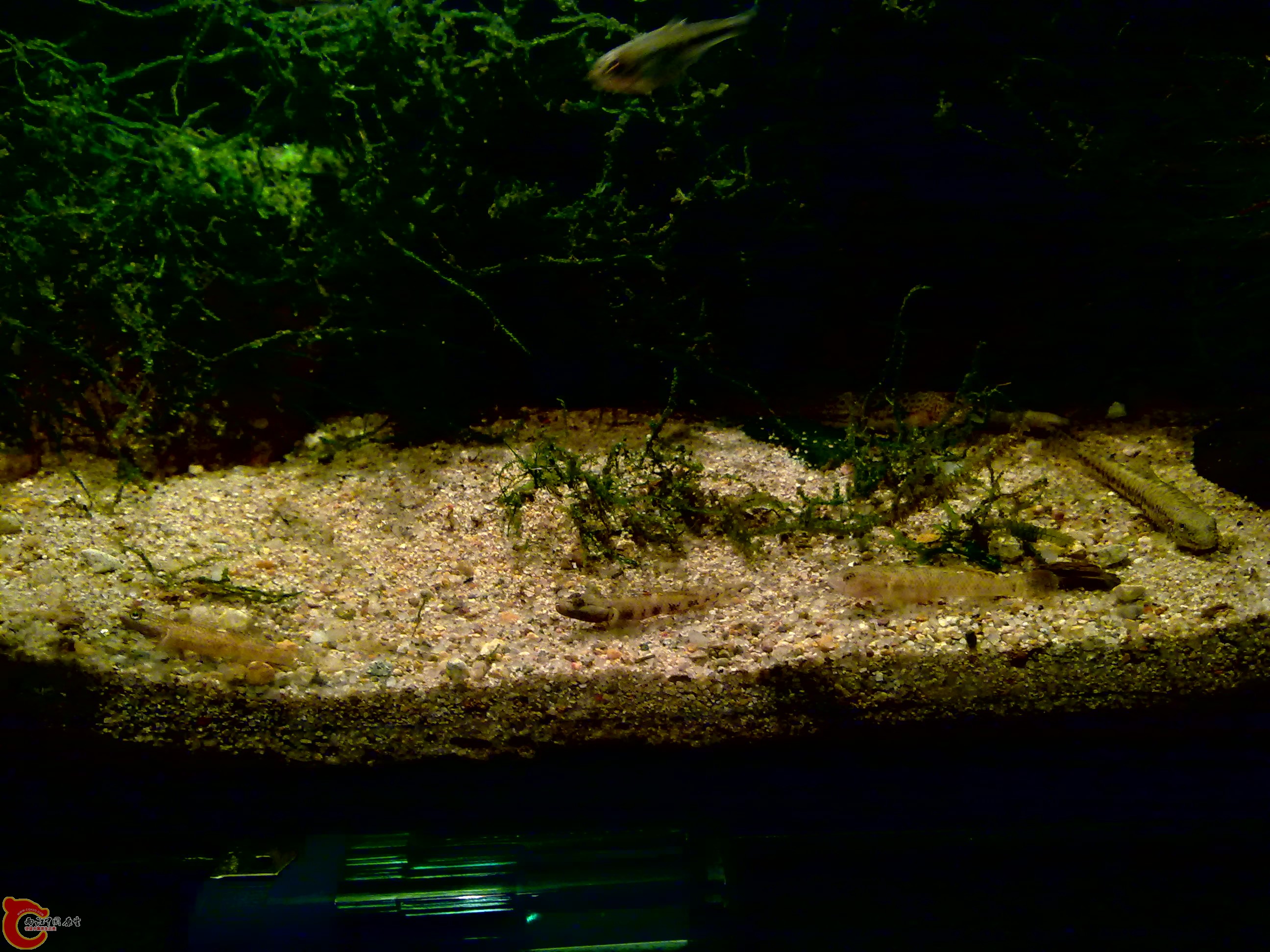 20120126135.jpg