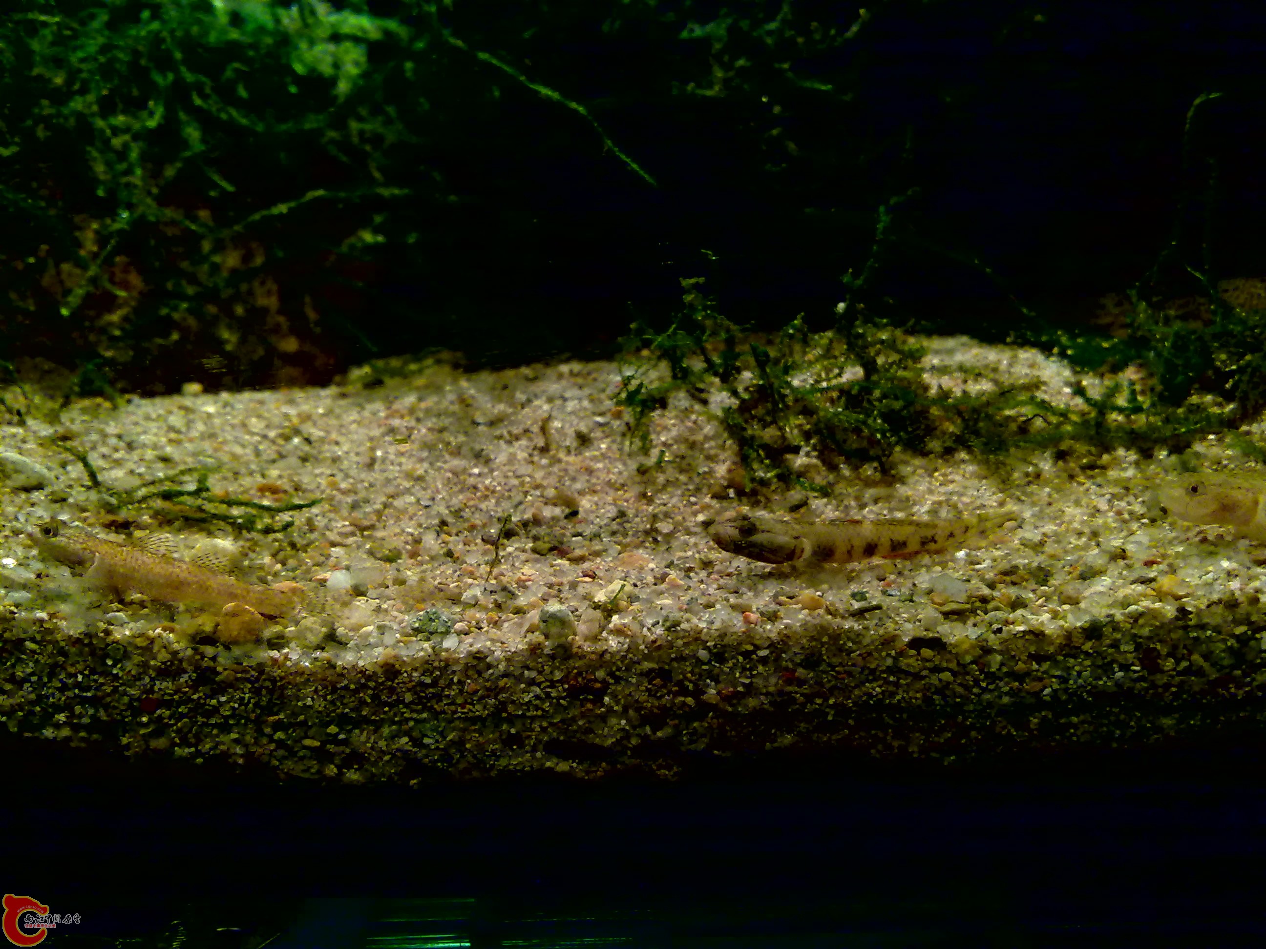 20120126136.jpg