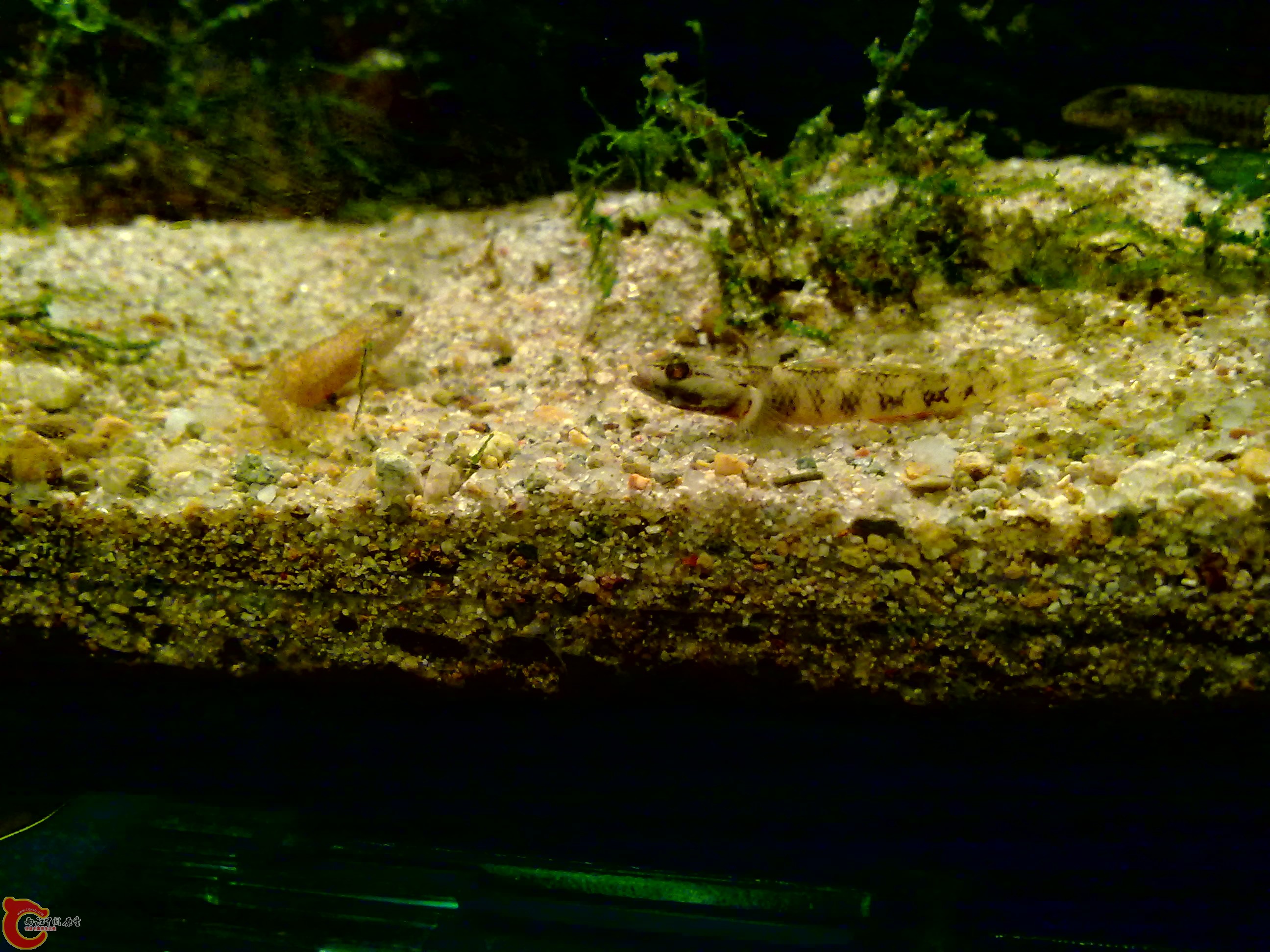 20120126138.jpg