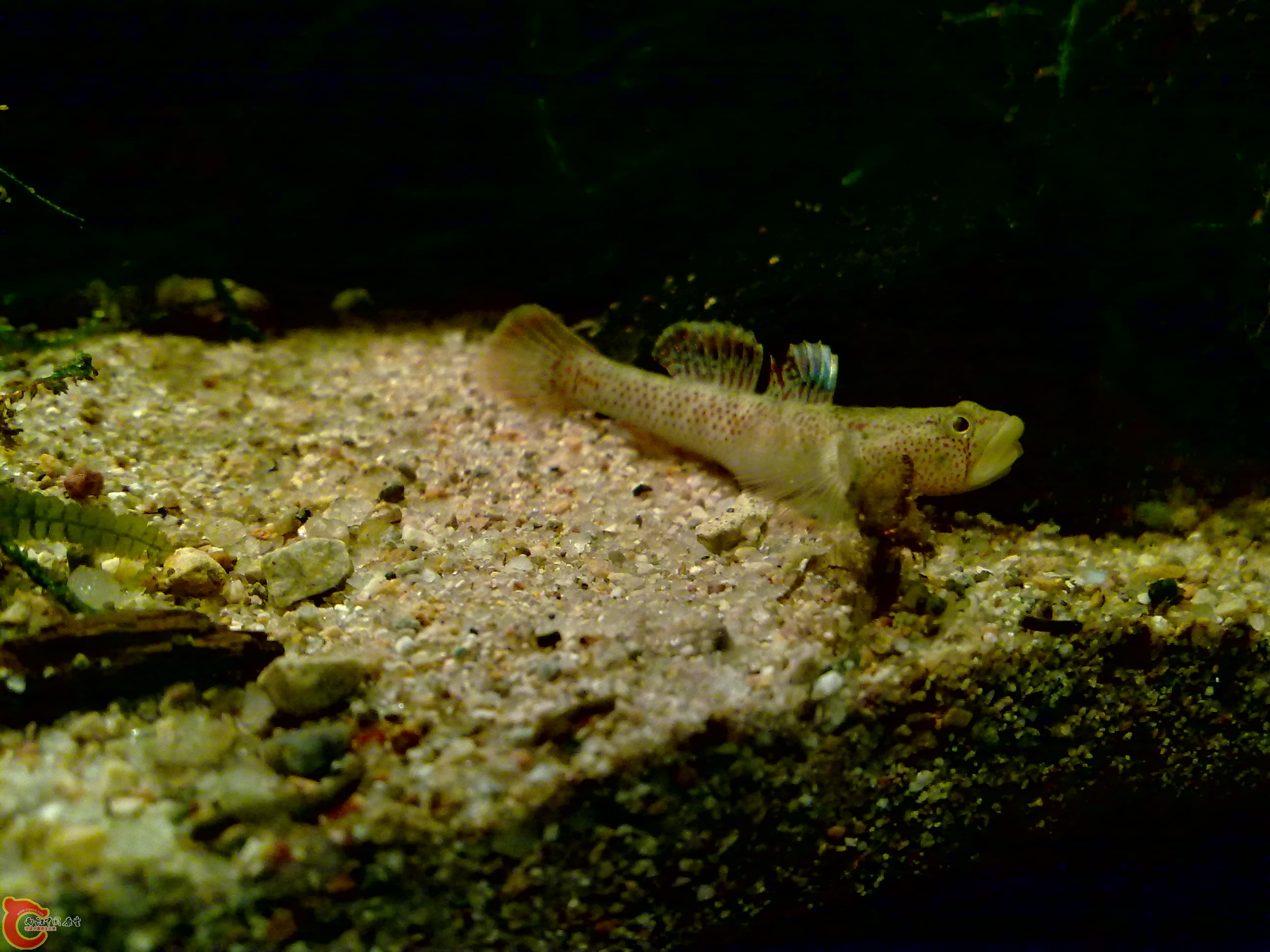 20120126139.jpg