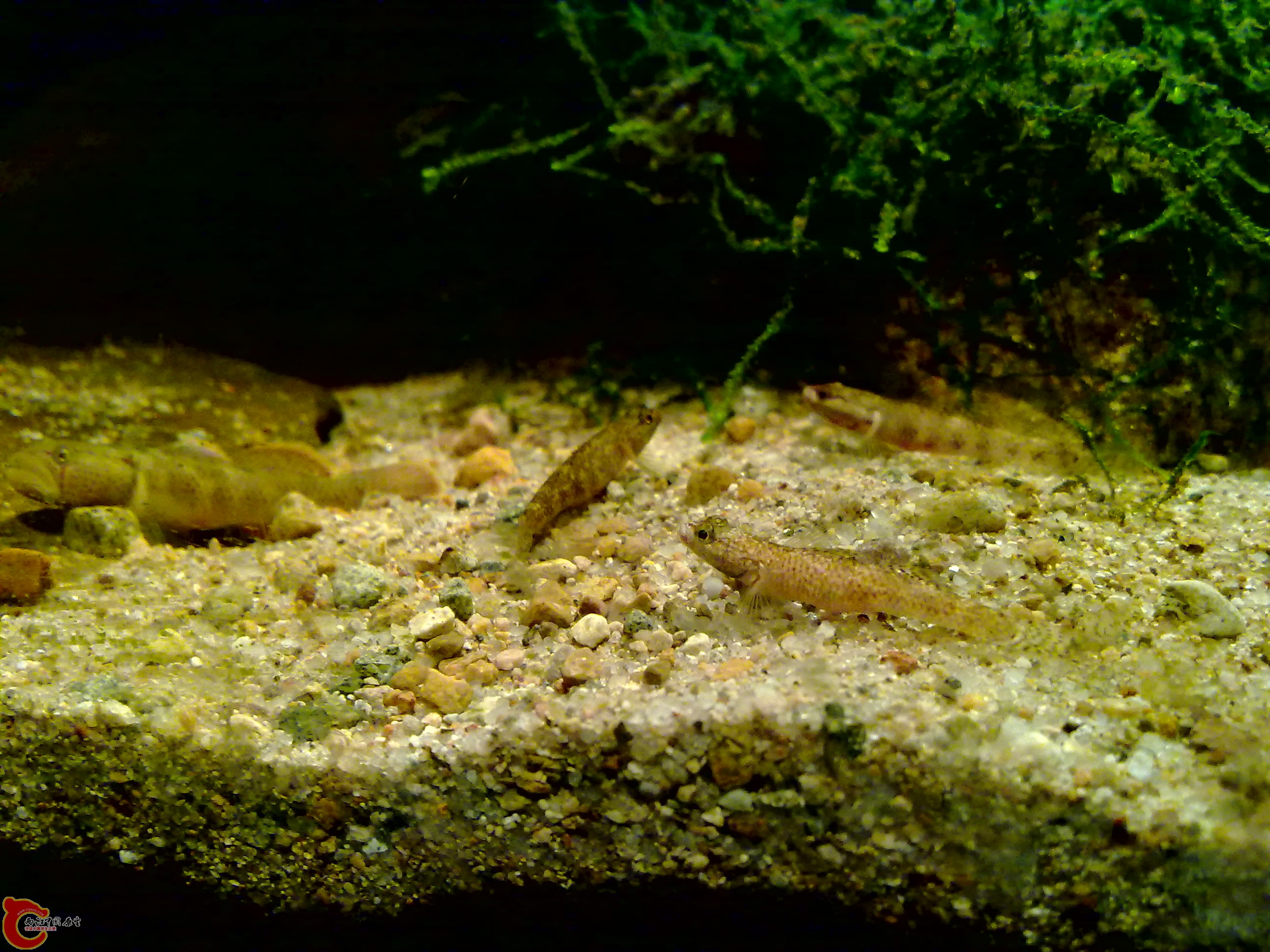 20120126143.jpg