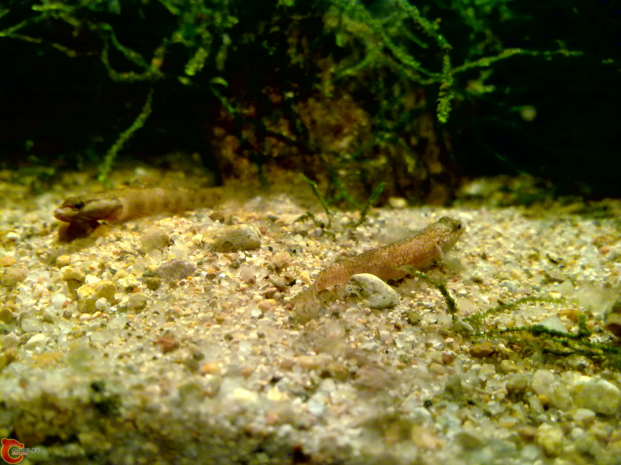 20120126144.jpg
