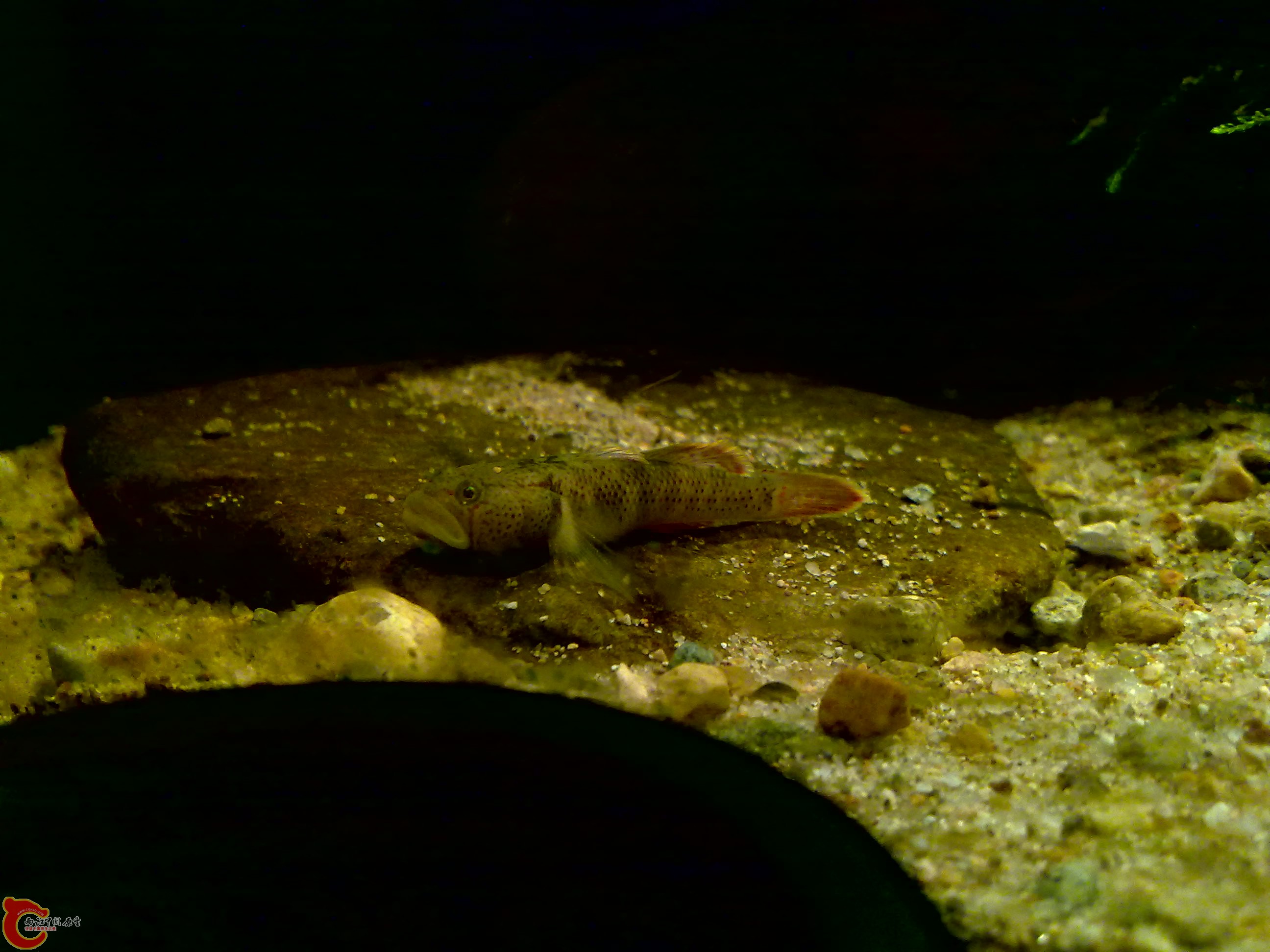 20120126145.jpg