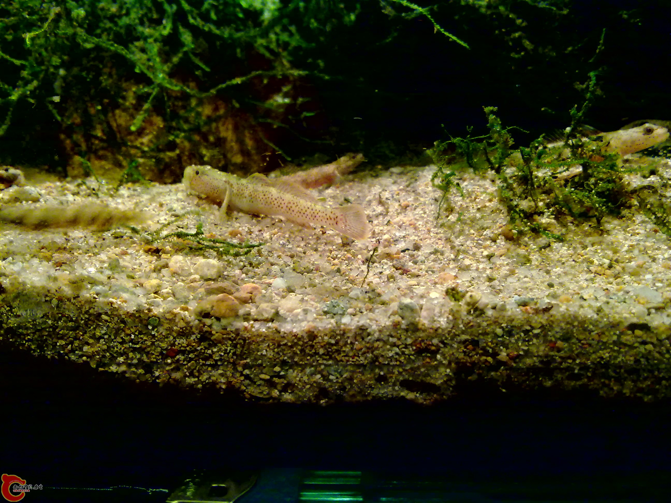 20120126146.jpg