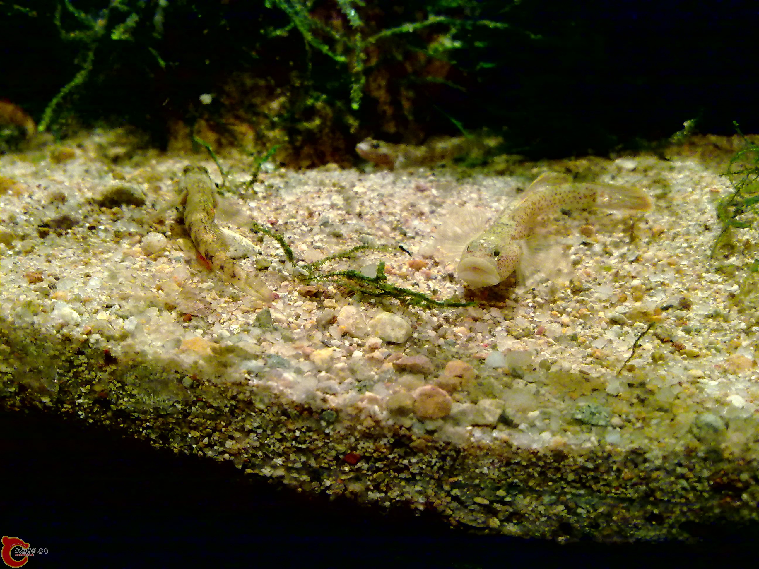 20120126148.jpg