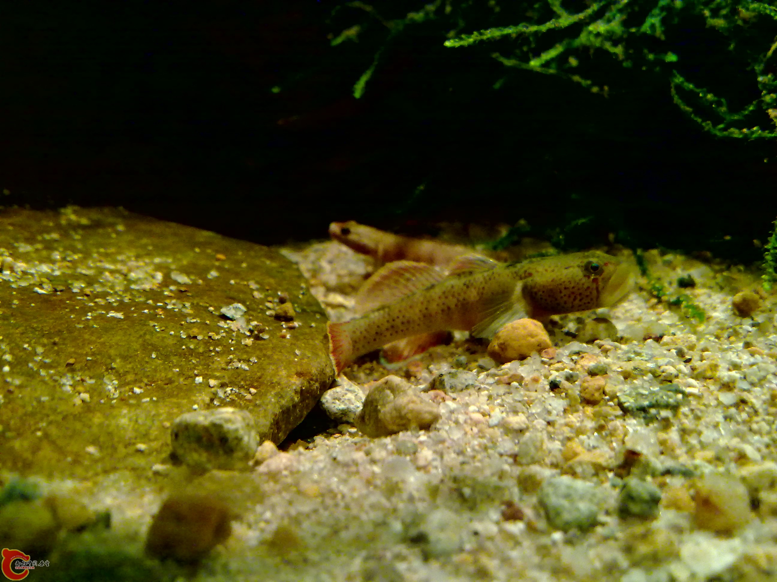 20120126149.jpg