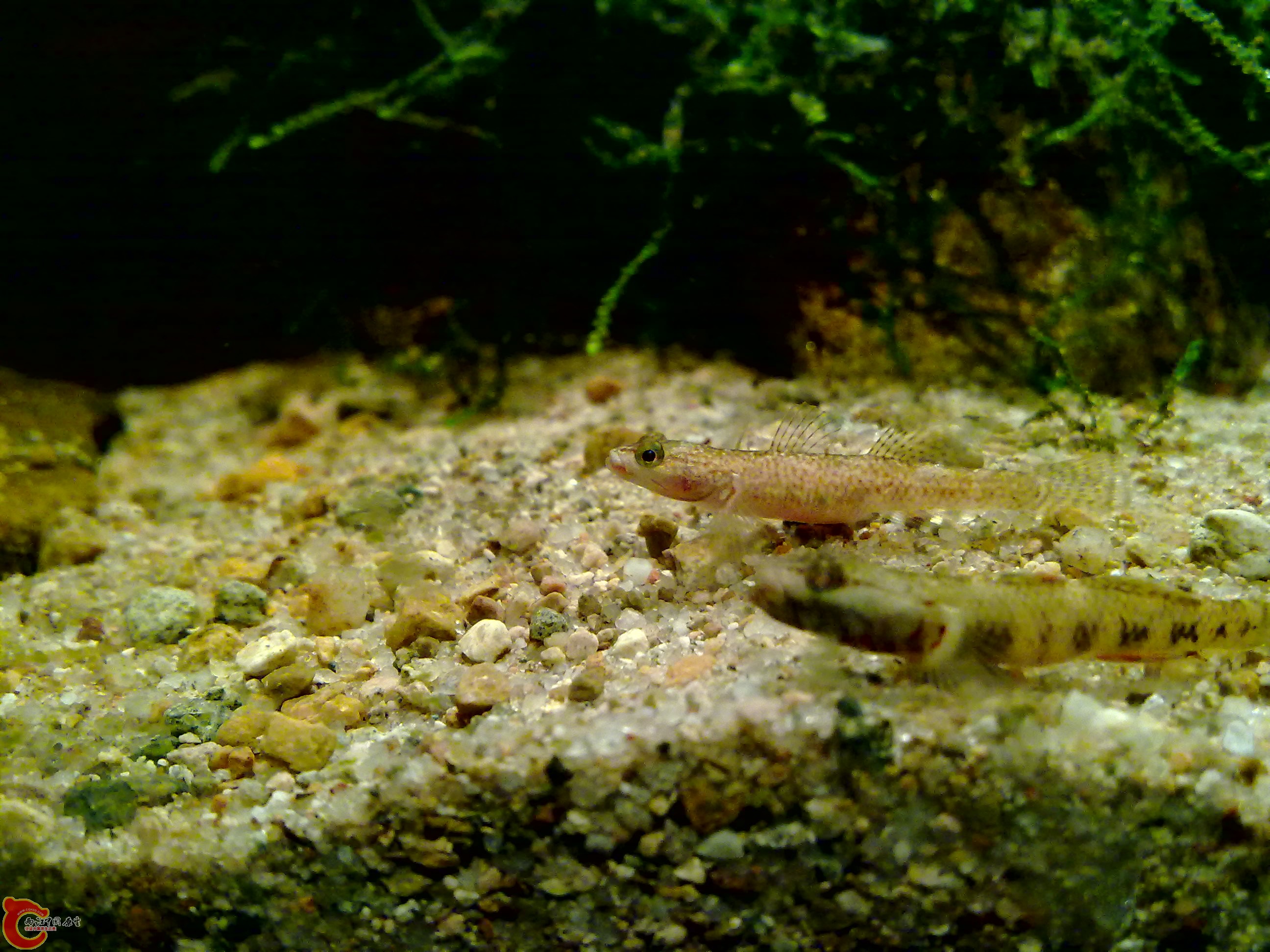 20120126151.jpg