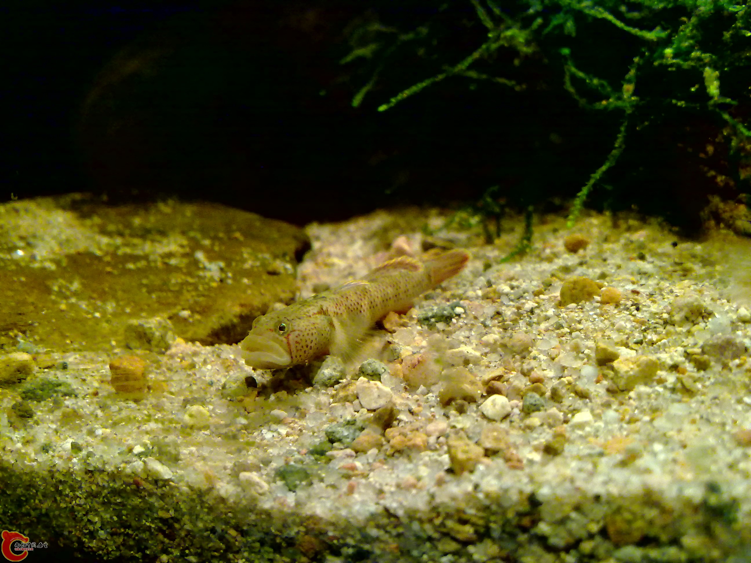 20120126158.jpg