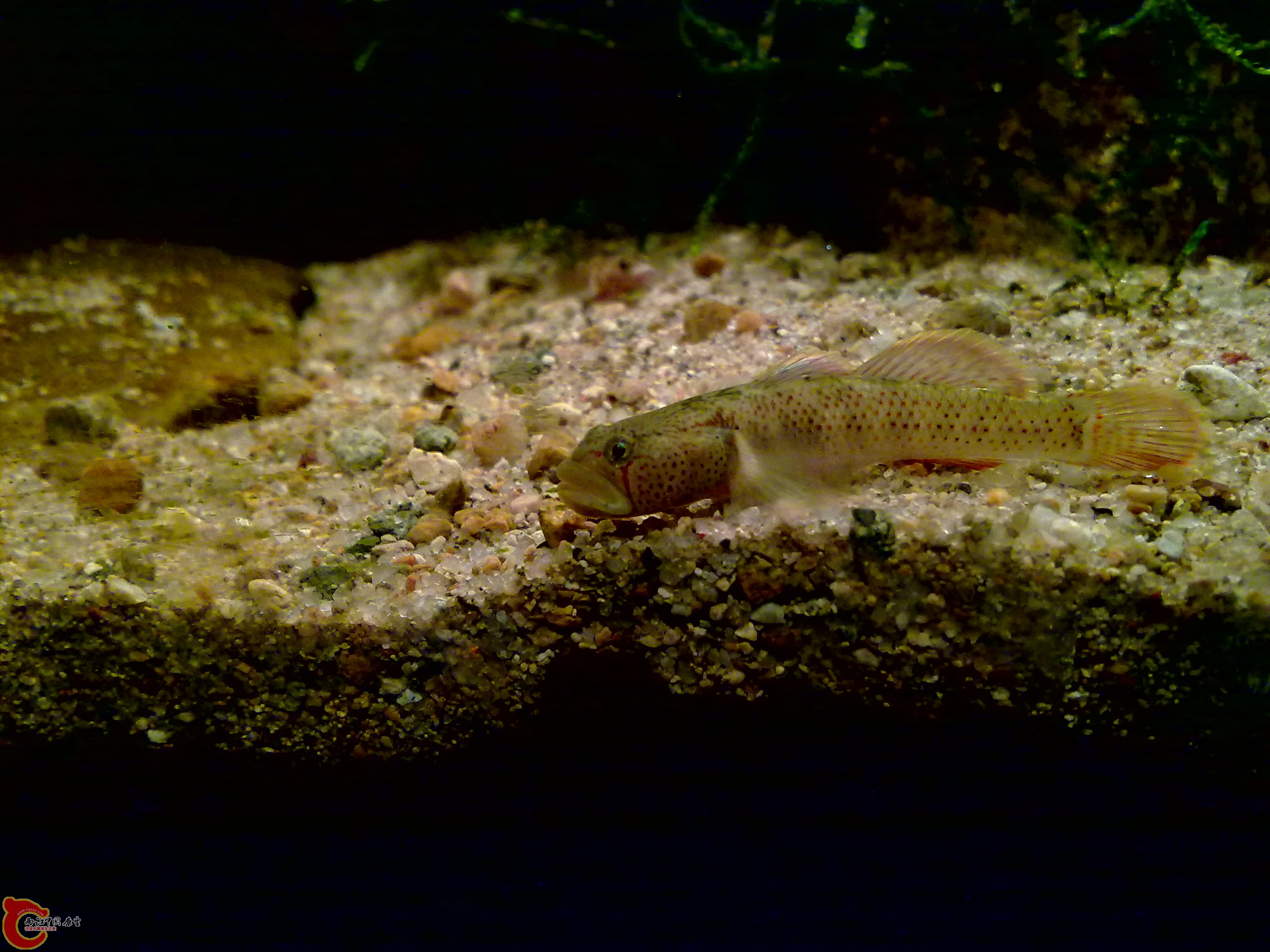20120126162.jpg