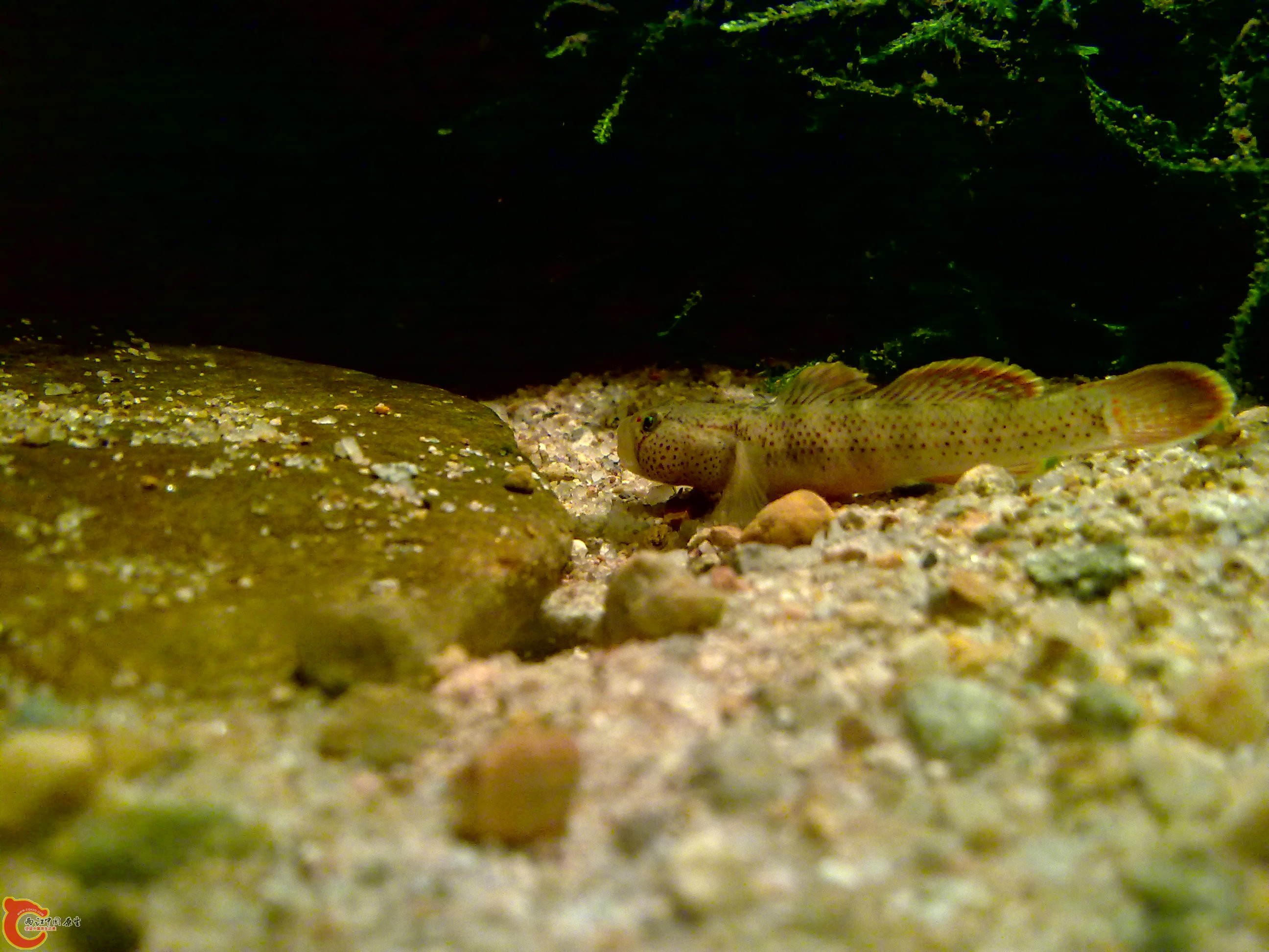 20120126163.jpg