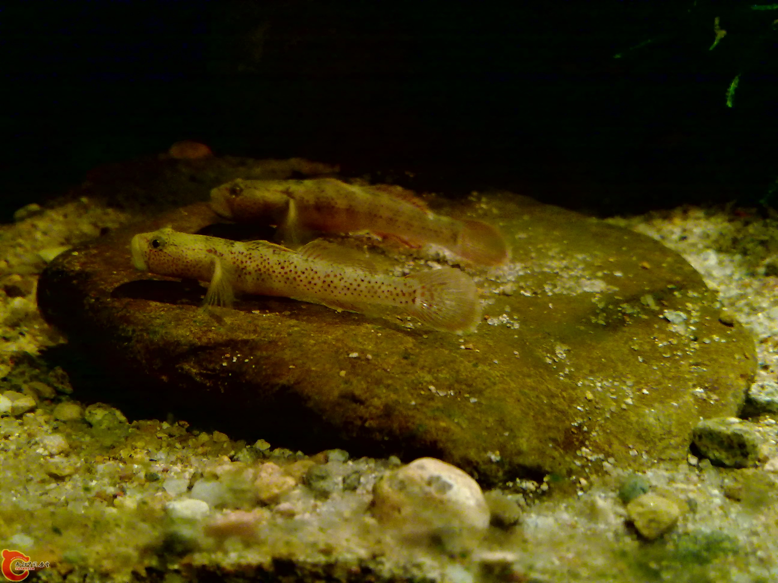 20120126164.jpg