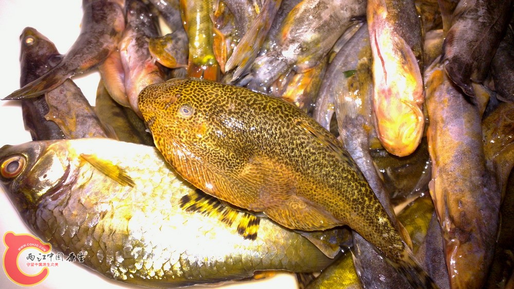 20120125_016.jpg