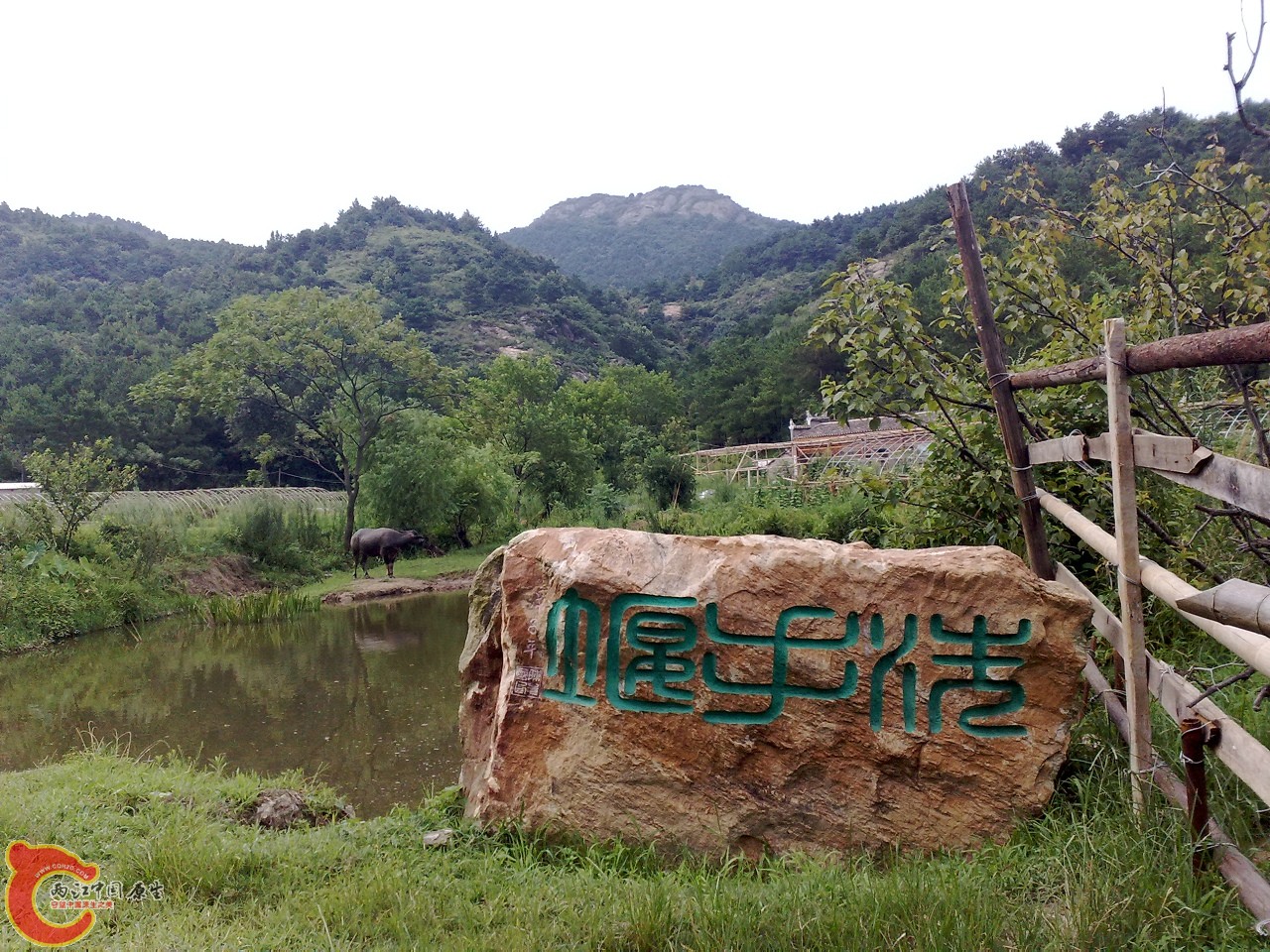 20090729598.jpg