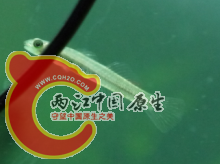 m.png