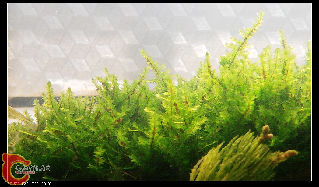 nEO_IMG_2012-02-11 13.09.07.jpg