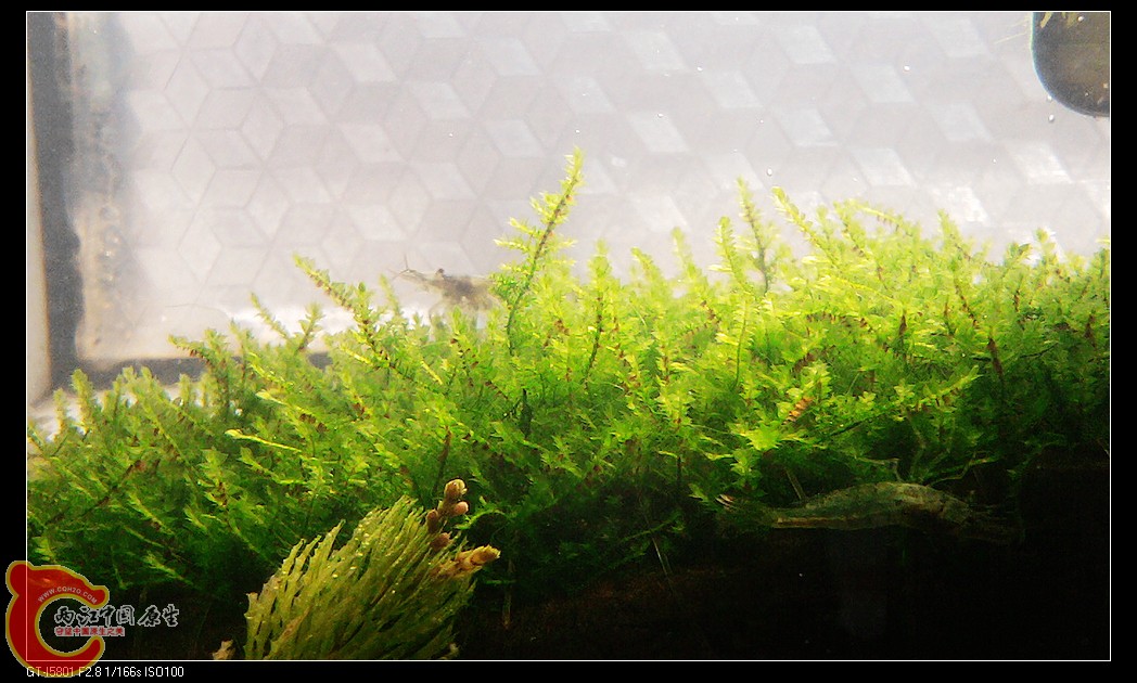 nEO_IMG_2012-02-11 13.09.30.jpg