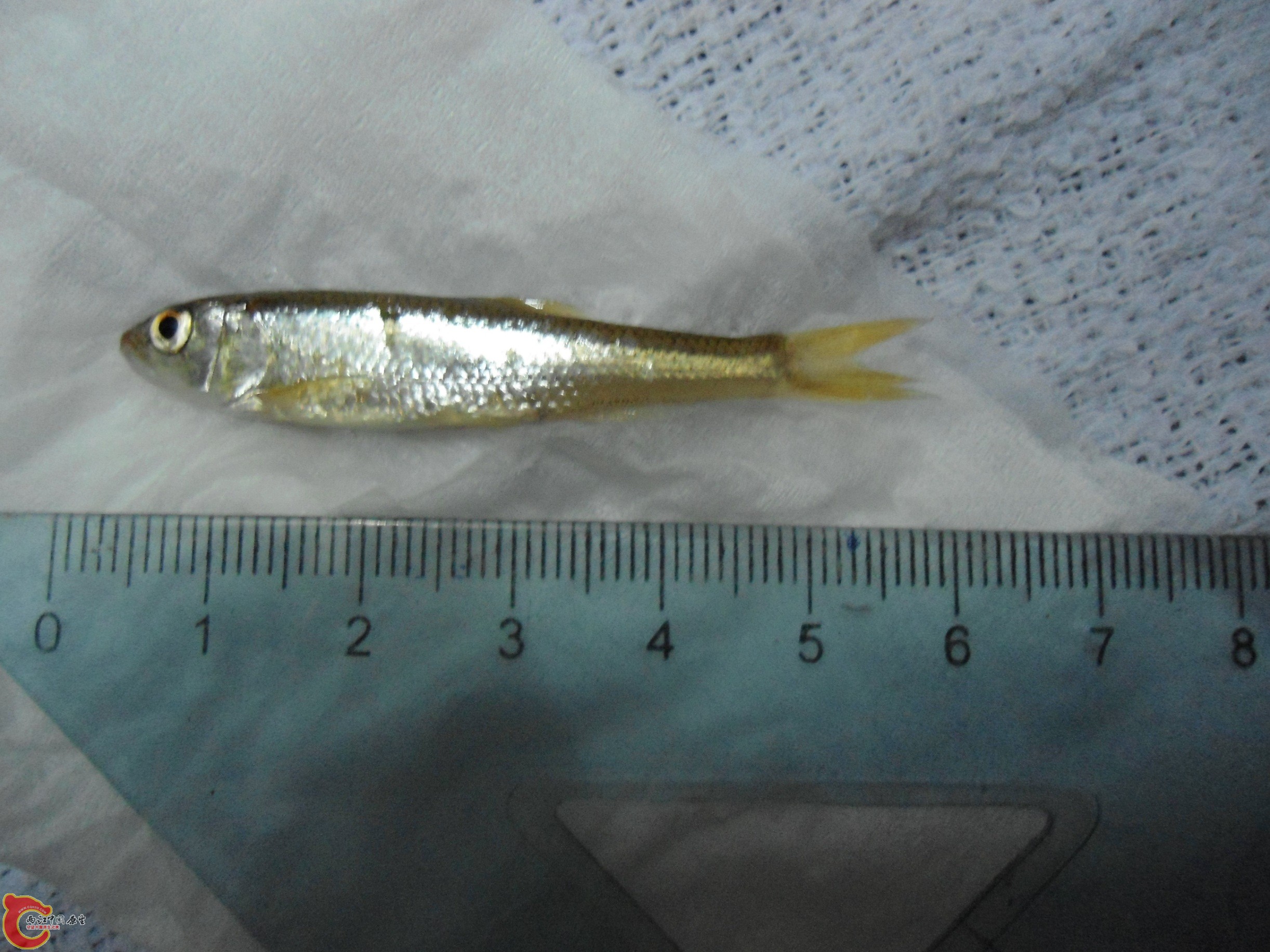 DSC01104.JPG