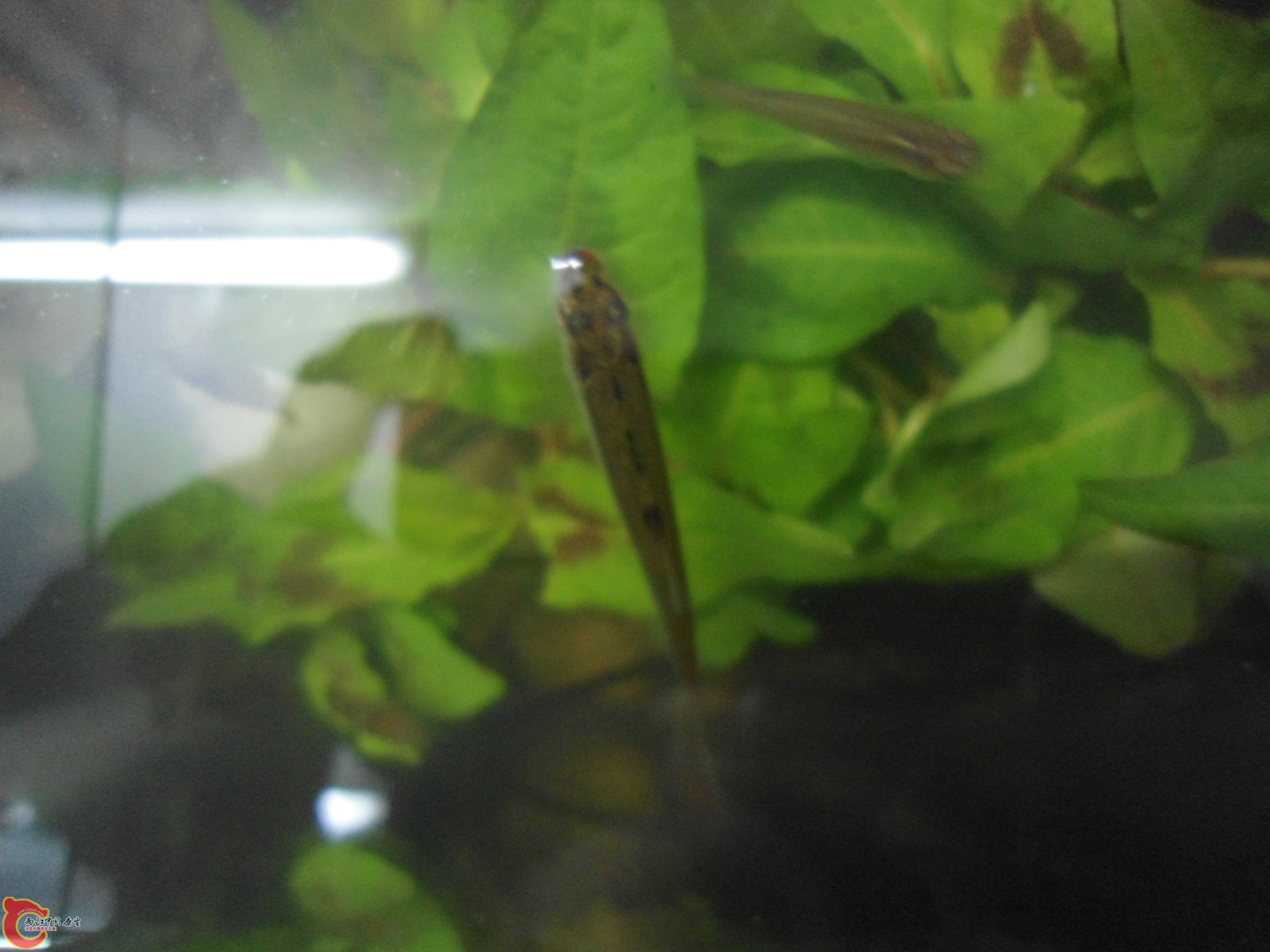 DSC01111.JPG