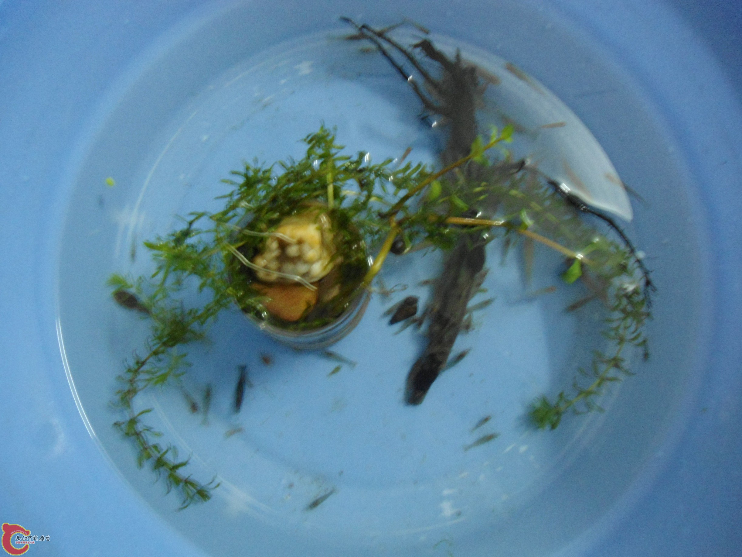 DSC01114.JPG
