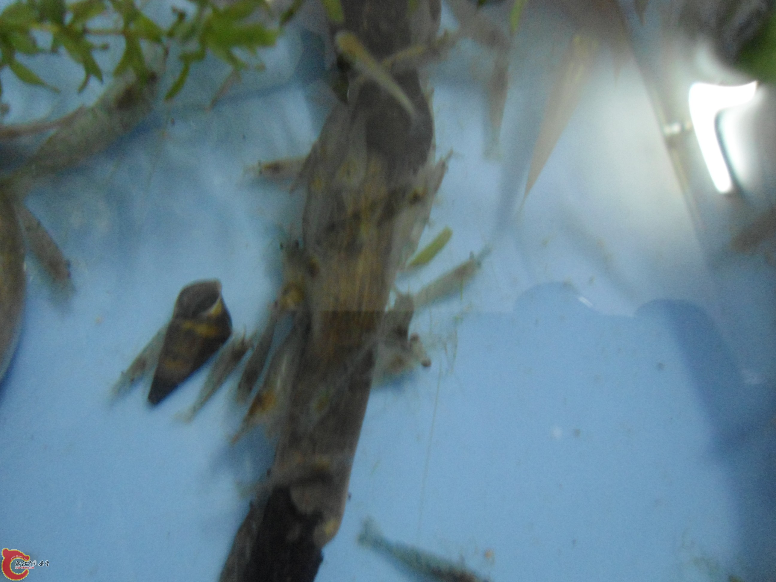 DSC01116.JPG