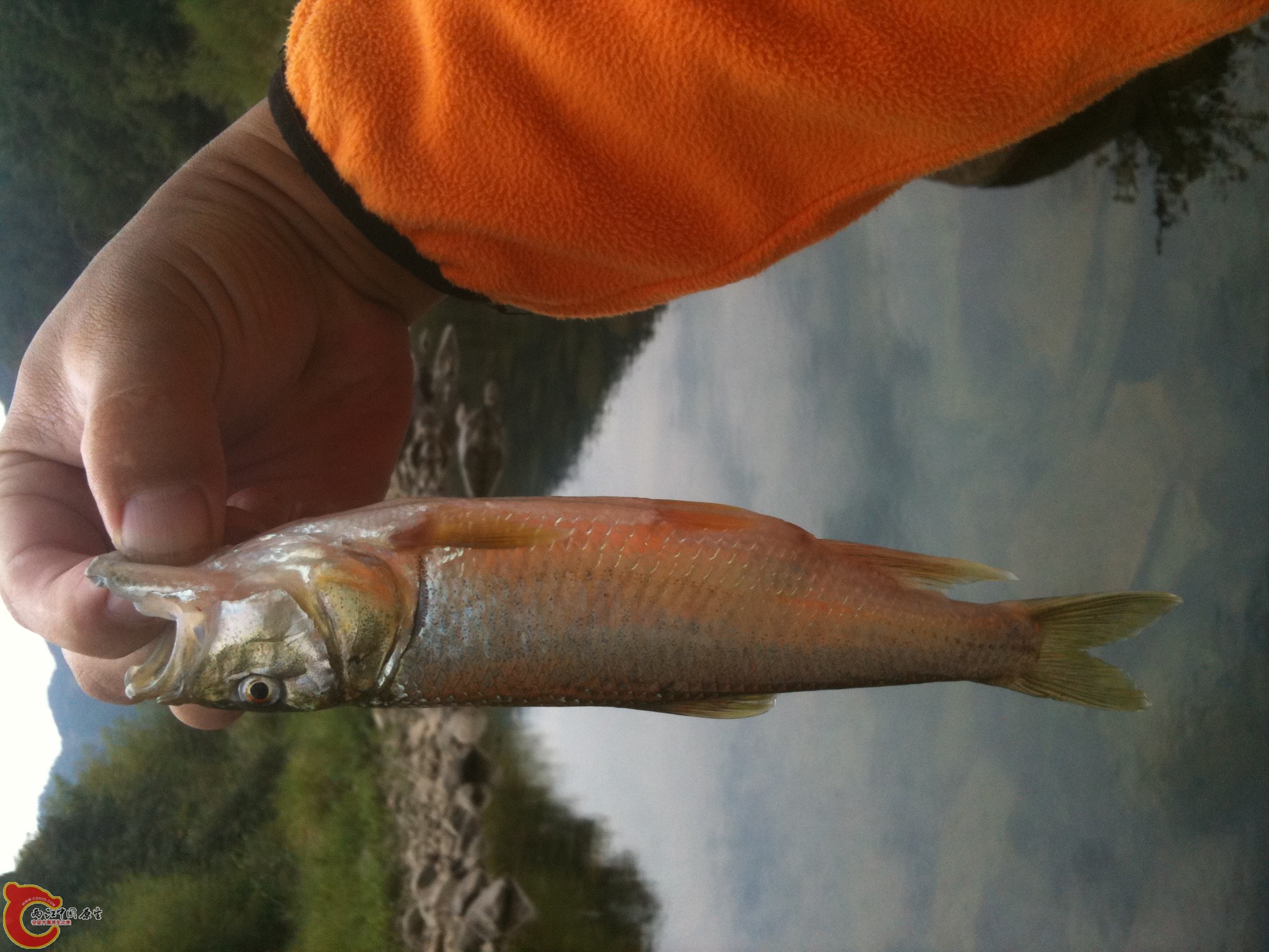 不好意思，忘记翻转了，手机拍的将就着看吧！