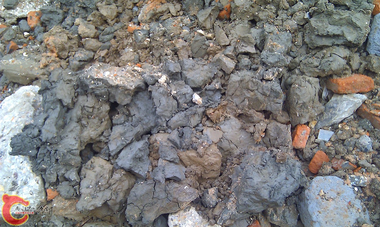 IMG_20120226_081444.jpg