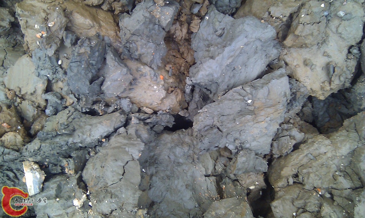 IMG_20120226_081452.jpg