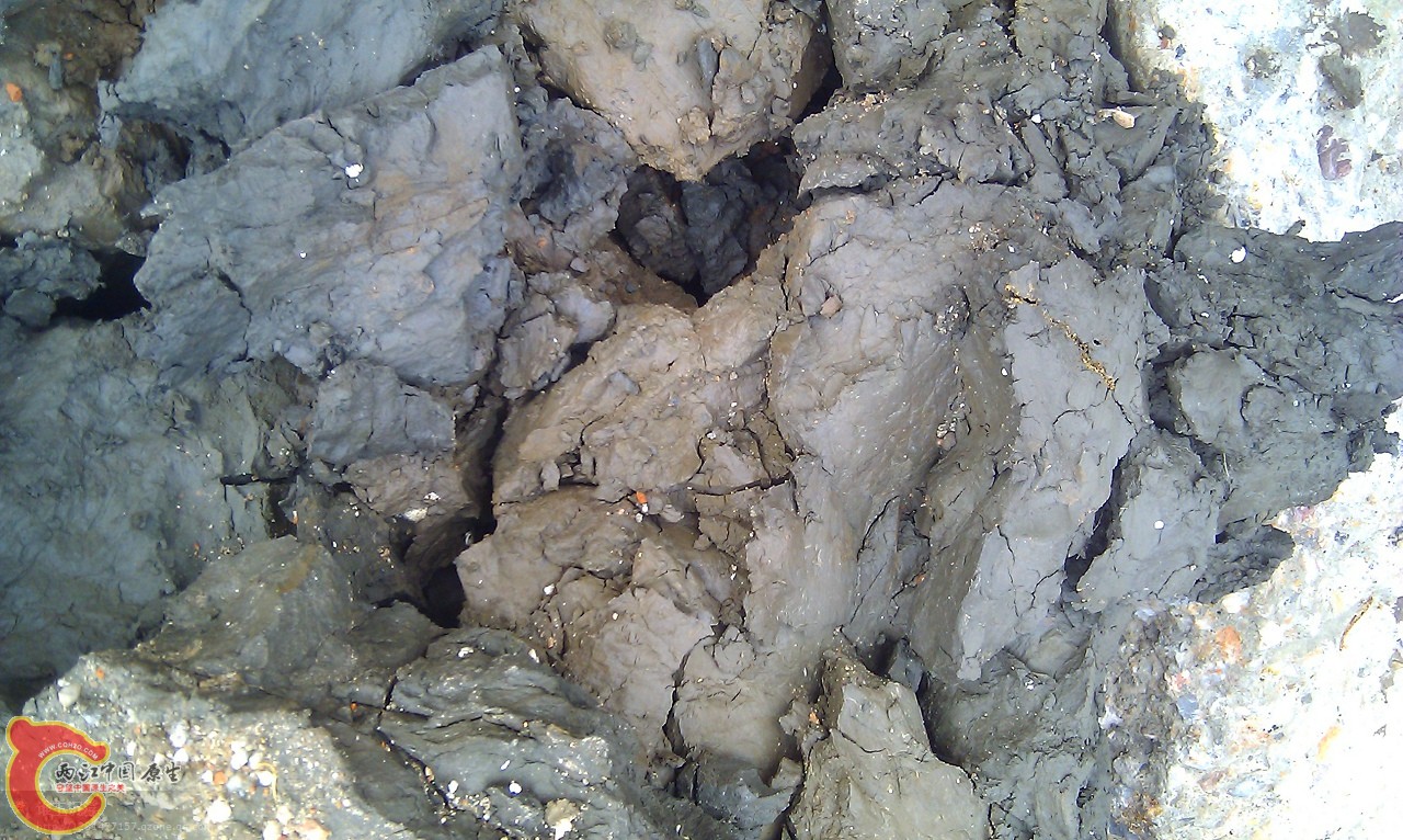 IMG_20120226_081455.jpg