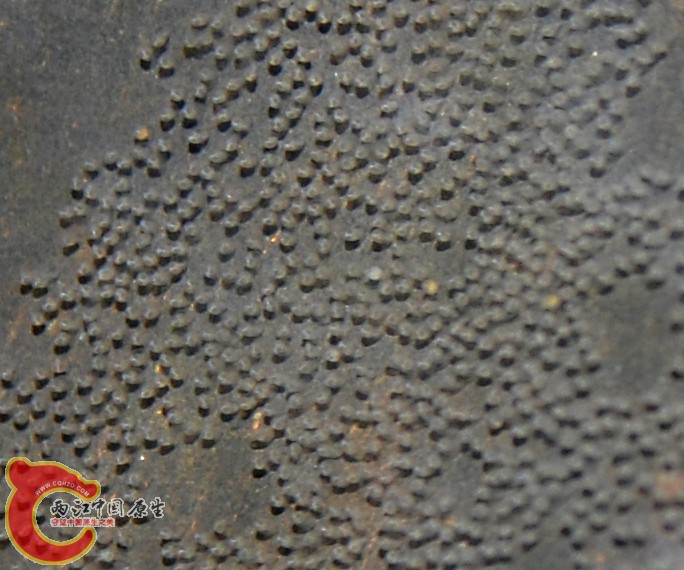 DSC_1179.JPG