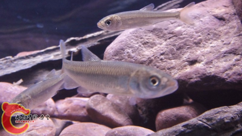 DSC03164 (800x451).jpg