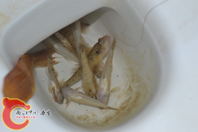 DSC_0067.JPG