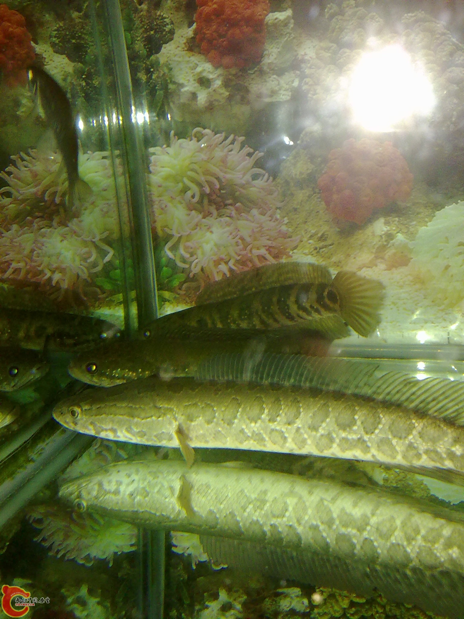 201203022227.jpg