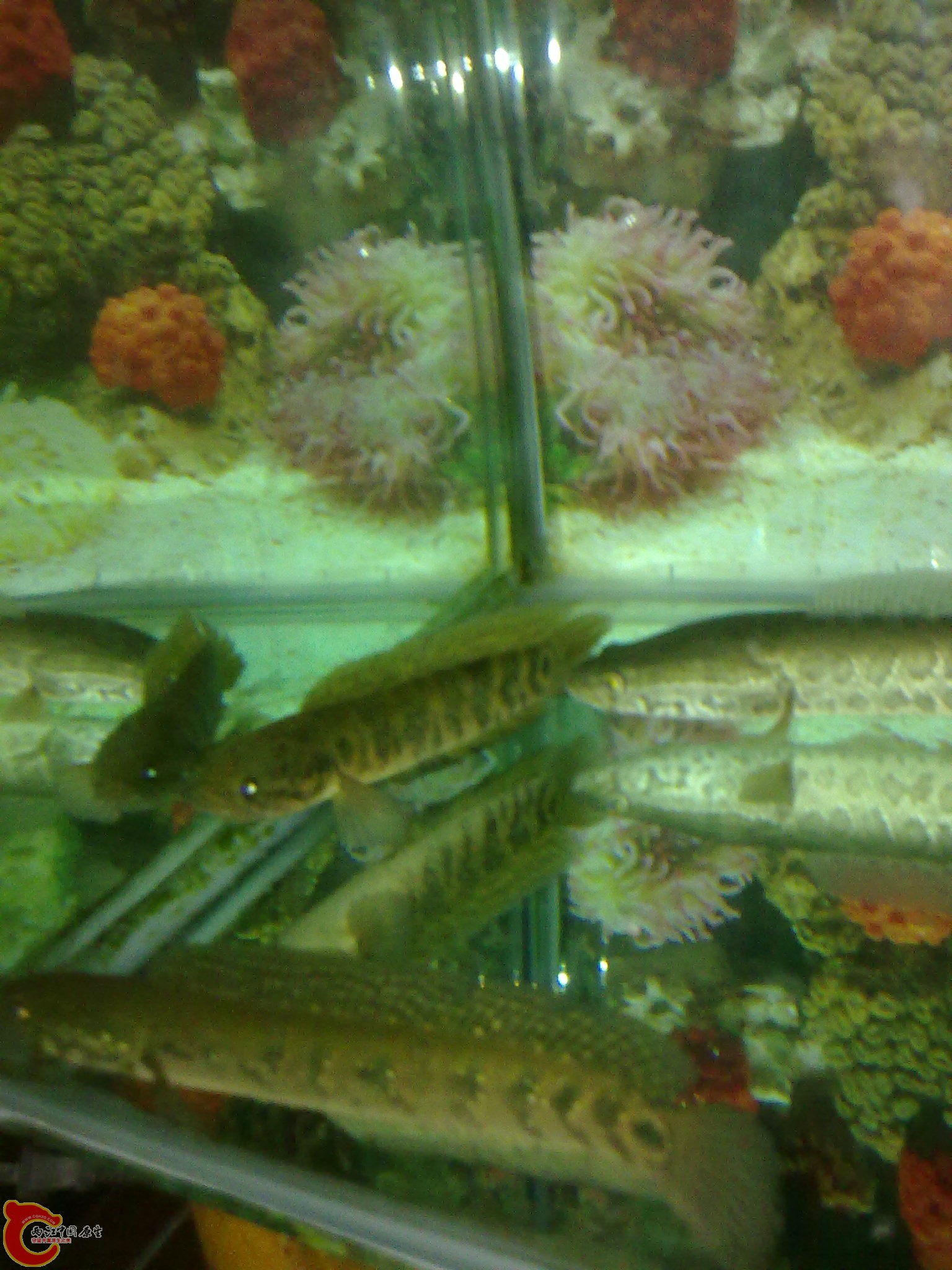 201203022252.jpg
