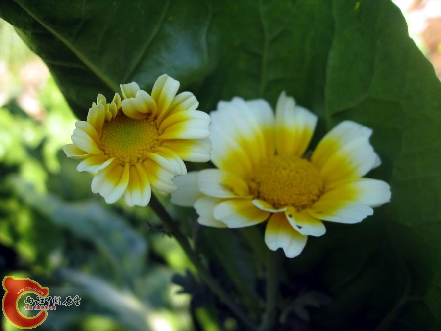 照片 591.jpg