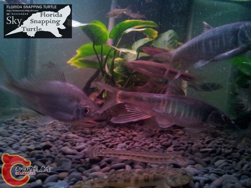 2012-03-05 20.46.jpg