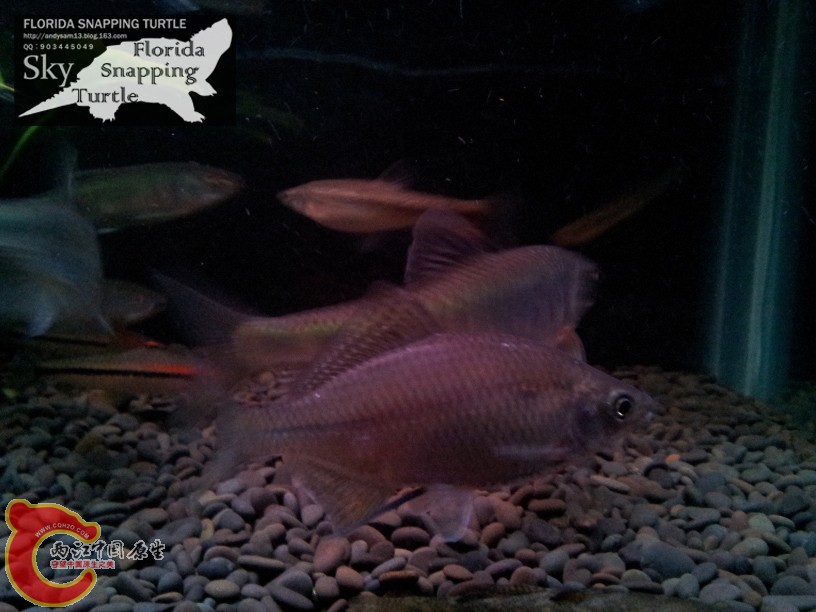 2012-03-05 20.48.jpg