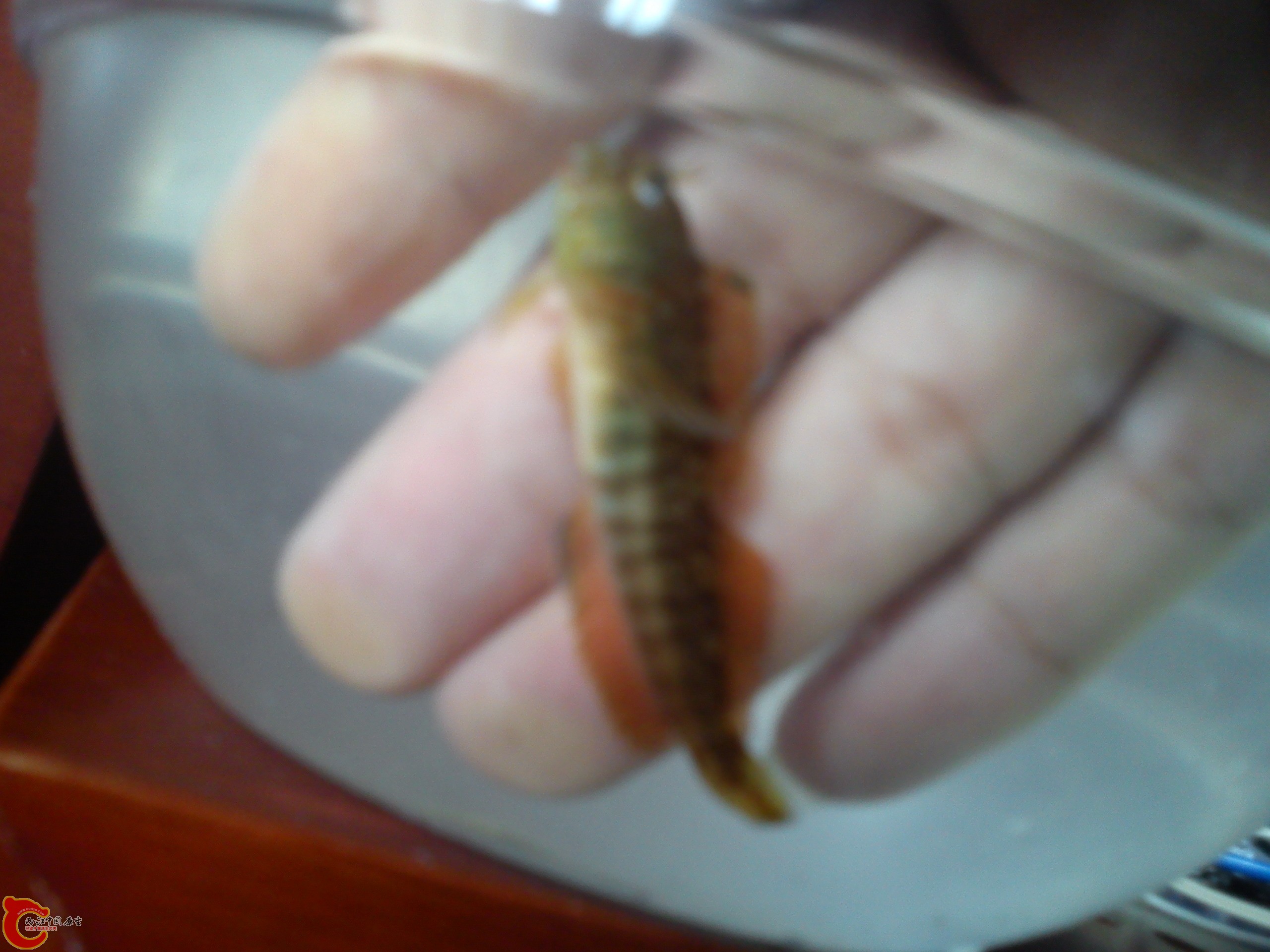 Camera_20120214_102403.jpg