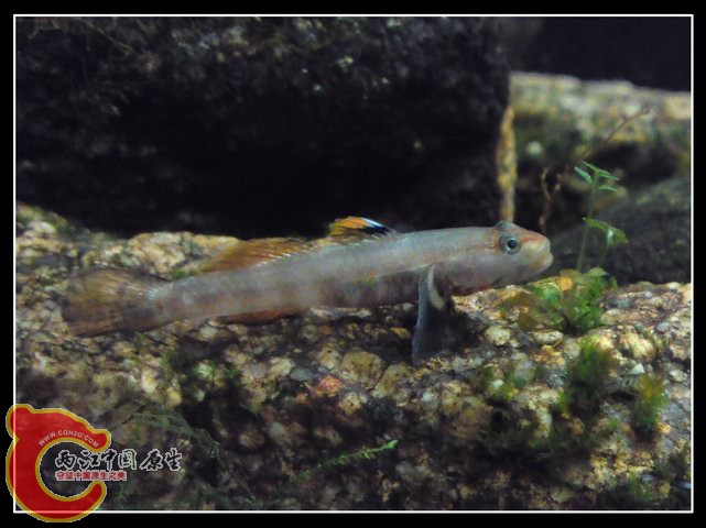 调整大小 DSC04308.JPG