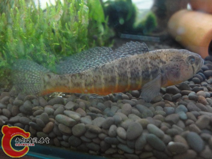 DSC02022_调整大小.JPG