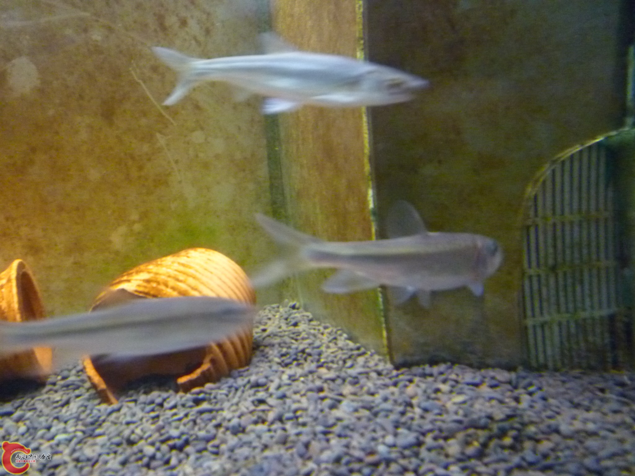 P1050015.JPG