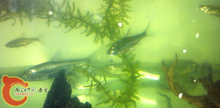 照片 092_副本.jpg