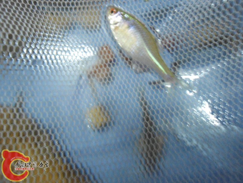 IBBKMC{EX7(F]DZC(0J85%0.jpg
