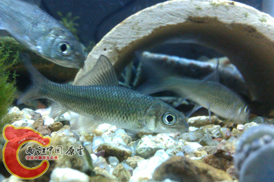 10.png