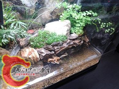 2012-03-13 18.49.12.jpg