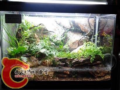 2012-03-14 12.12.26.jpg