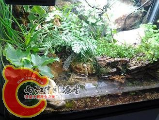 2012-03-14 12.13.45.jpg