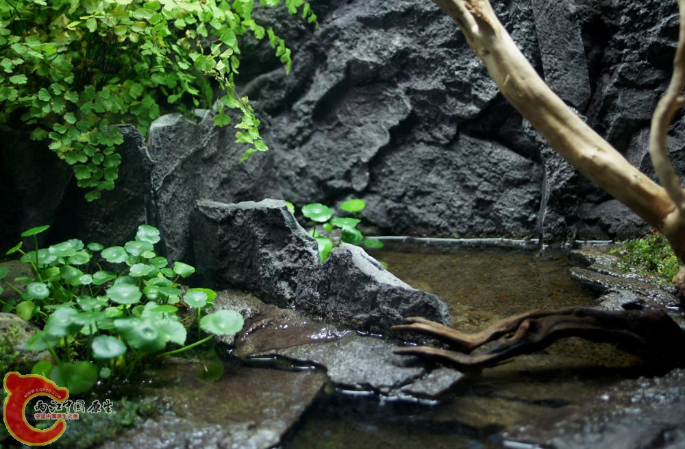 DSC00407.jpg