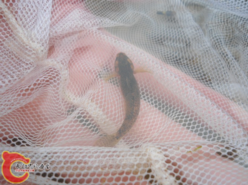 VU[~1KEB8[6J]ZA[K]UDG4T.jpg