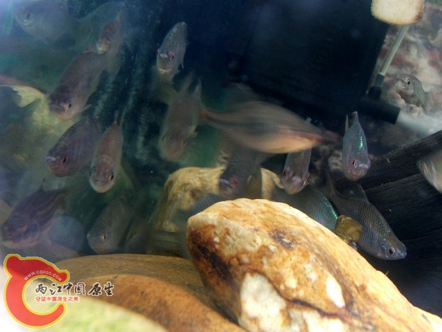DSCF2766.jpg