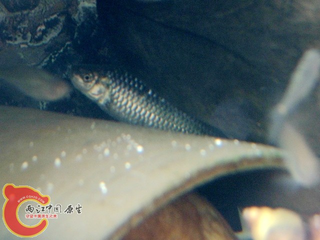 DSCF2783.jpg